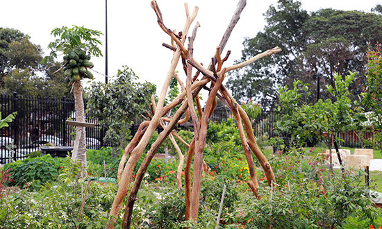 Garden with log structure