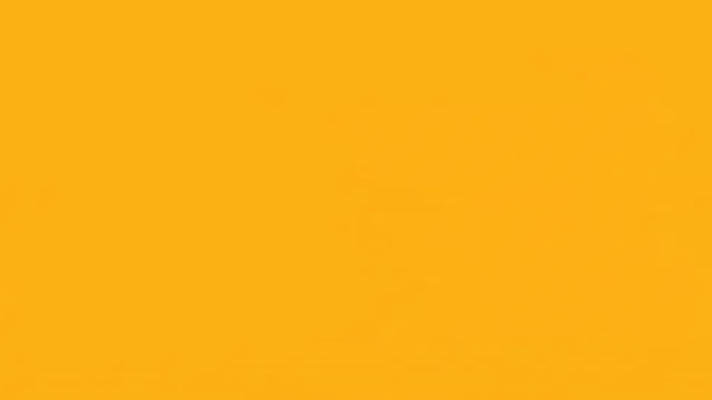 SSImulticulturalfostercarewebpageintrooptimize